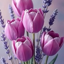 Cross stitch pattern: #2982092