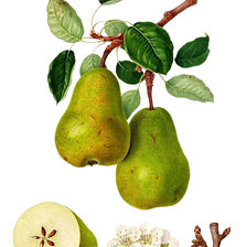 Cross stitch pattern: #2982417