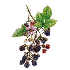 Cross stitch pattern: #2982419