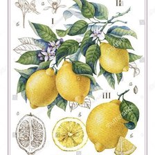 Cross stitch pattern: #2982425