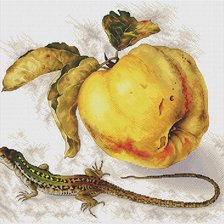 Cross stitch pattern: #2982431