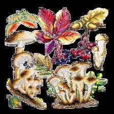 Cross stitch pattern: #2982432