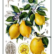 Cross stitch pattern: #2982436