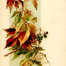 Cross stitch pattern: #2982455