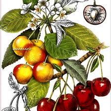 Cross stitch pattern: #2982482