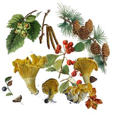 Cross stitch pattern: #2982500