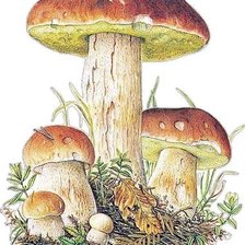 Cross stitch pattern: #2982502