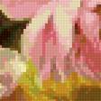 Preview of cross stitch pattern: #2982818
