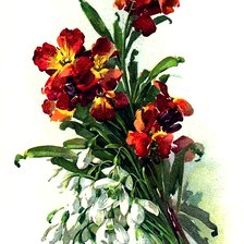 Cross stitch pattern: #2982863