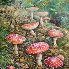 Cross stitch pattern: #2983285