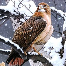 Cross stitch pattern: #2983371