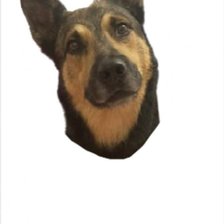 Cross stitch pattern: #2983757