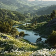 Cross stitch pattern: #2984022