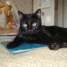 Cross stitch pattern: #2984053