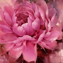 Cross stitch pattern: #2984126