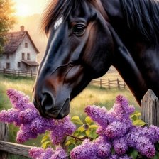 Cross stitch pattern: #2984307