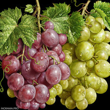 Cross stitch pattern: #2984342