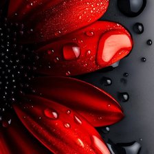 Cross stitch pattern: #2984369