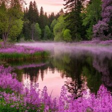 Cross stitch pattern: #2984569