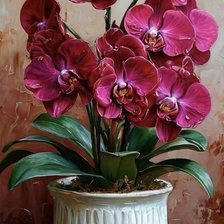 Cross stitch pattern: #2985156