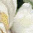 Preview of cross stitch pattern: #2985269
