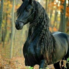 Cross stitch pattern: #2985381