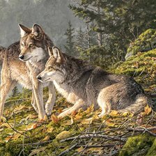 Cross stitch pattern: #2985853