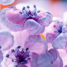 Cross stitch pattern: #2985965