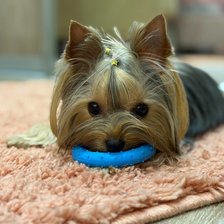 Cross stitch pattern: #2986126