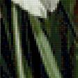 Preview of cross stitch pattern: #2986576