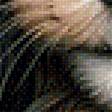 Preview of cross stitch pattern: #2987061