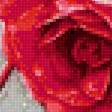 Preview of cross stitch pattern: #2988282
