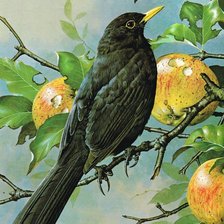 Cross stitch pattern: #2988311