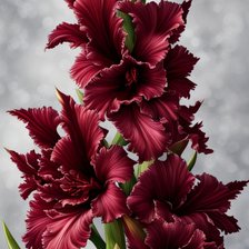 Cross stitch pattern: #2988362