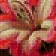 Preview of cross stitch pattern: #2988569