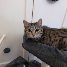 Cross stitch pattern: #2988623