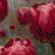 Preview of cross stitch pattern: #2989024