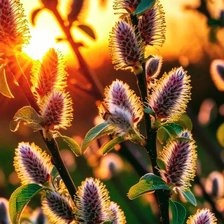 Cross stitch pattern: #2989585
