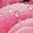 Preview of cross stitch pattern: #2989769