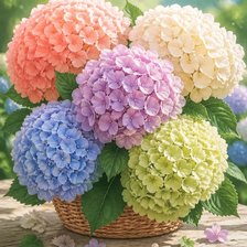 Cross stitch pattern: #2989950