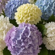 Cross stitch pattern: #2989958