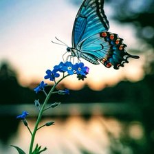 Cross stitch pattern: #2990091