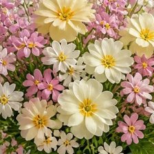 Cross stitch pattern: #2990205