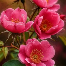 Cross stitch pattern: #2990253