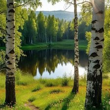 Cross stitch pattern: #2990259