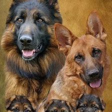 Cross stitch pattern: #2990499