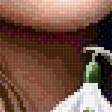Preview of cross stitch pattern: #2990666