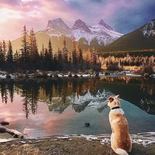 Cross stitch pattern: #2990764