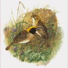 Cross stitch pattern: #2990783