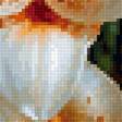 Preview of cross stitch pattern: #2990980